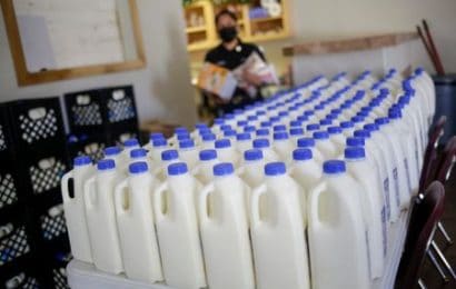 US tests show pasteurized milk safe as bird flu spreads to Colorado