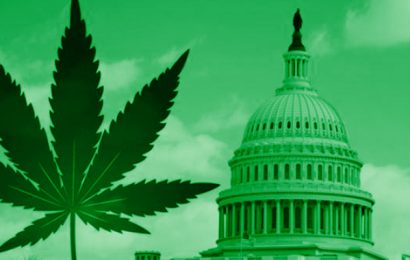 Senator Kamala Harris is On Board for Marijuana to Be Legal on Federal Level