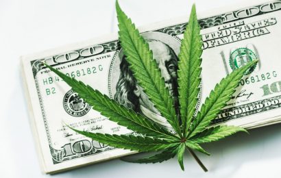 4 Marijuana Stocks For The Cannabis Comeback