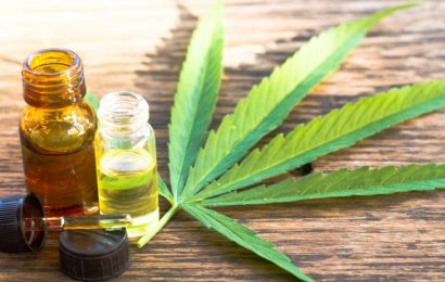 Investing In CBD Flower And Hemp Products