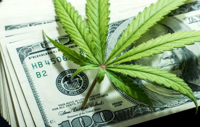 7 Marijuana Stocks To Buy Now