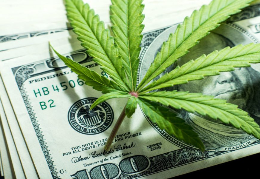 7 Marijuana Stocks To Buy Now