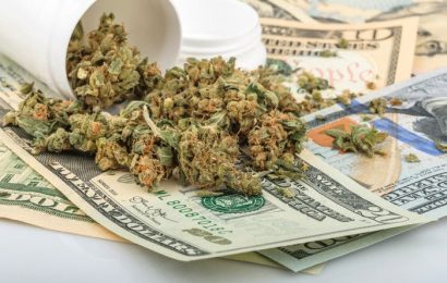 The 3 Biggest Marijuana Stocks Ranked From Best To Worst