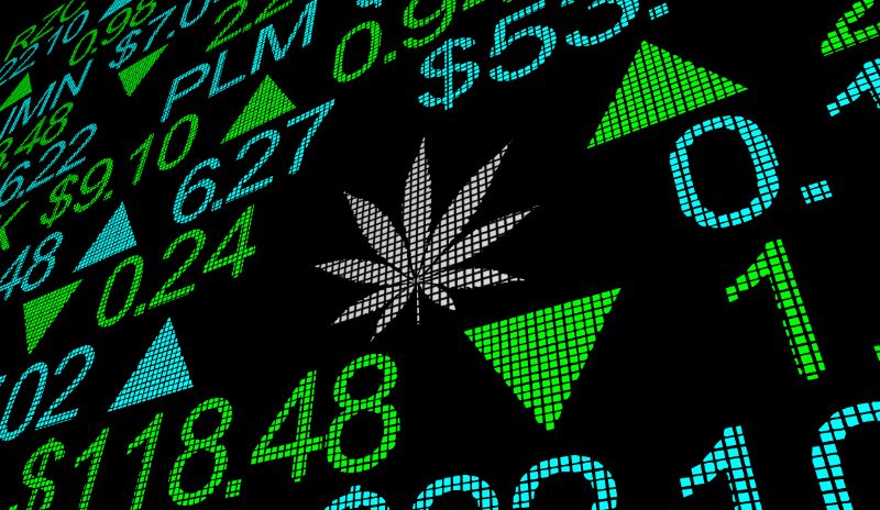 An Insider That’s High On This Weed Stock