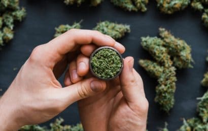 Here’s What The Future Holds For Aurora Cannabis