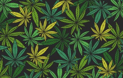 7 Marijuana Stocks To Buy On The Dip